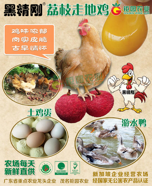 【黑精刚】钜园农业黑精刚天然放养走地鸡整只豪华礼盒 商品图1