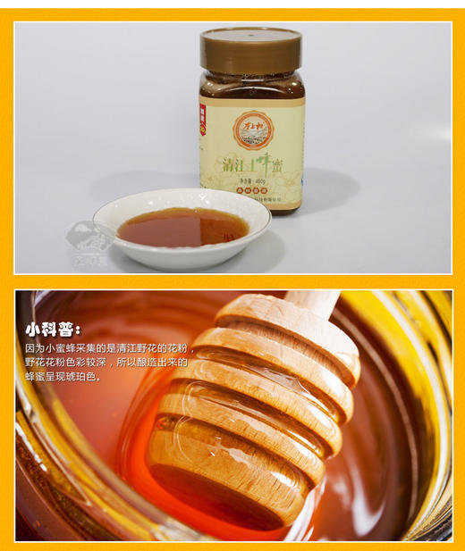 【五峰馆】龚上村清江土蜂蜜纯正天然 农家自产0添加蜂蜜450g/瓶 商品图2