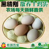 【黑精刚】钜园农业黑精刚天然放养走地鸡整只豪华礼盒 商品缩略图2