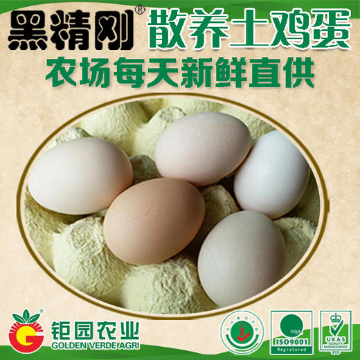 【黑精刚】钜园农业黑精刚天然放养走地鸡整只豪华礼盒 商品图2
