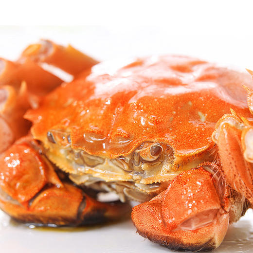 【云柜生鲜】正宗兴化红膏大闸蟹膏红肉鲜【江浙沪皖顺丰包邮】