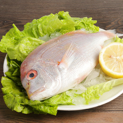 宁波舟鲜生舟山野生铜盆鱼300g包2包装江浙沪皖包邮