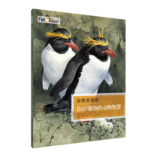 40746动物发现志全4册英国科普套装6-14岁儿童 商品图4