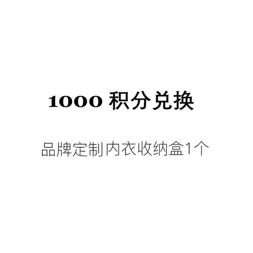 【1000积分兑换】品牌定制内衣收纳盒1个 商品图0
