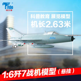 特尔博-长春航展、九三阅兵纪念品 1:6歼7大飞机模型丨合金仿真军事模型丨航展定制丨科普展览丨高级摆件