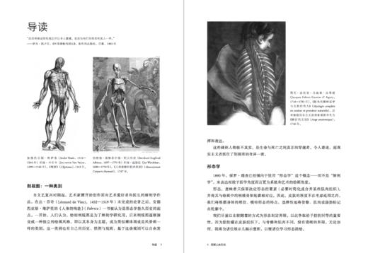 理解人体形态：巴黎国立高等美术学院实用素描解剖书 商品图2