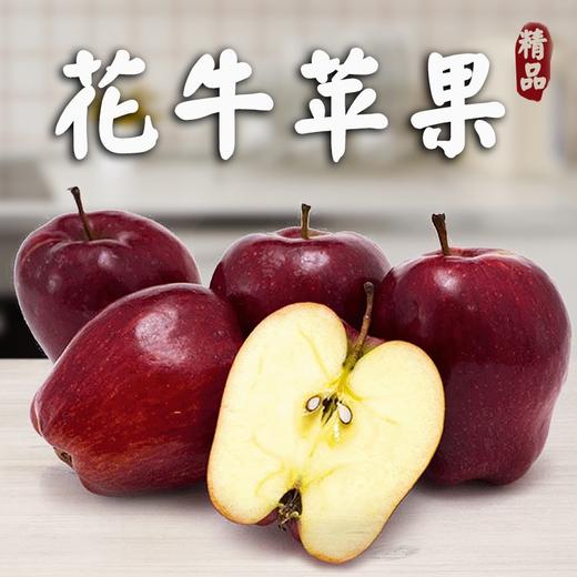 TestProduct批改 商品图0