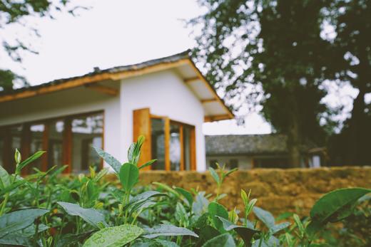 【雅安-238号院】超美茶边边2房、3房小院子xcy 商品图0