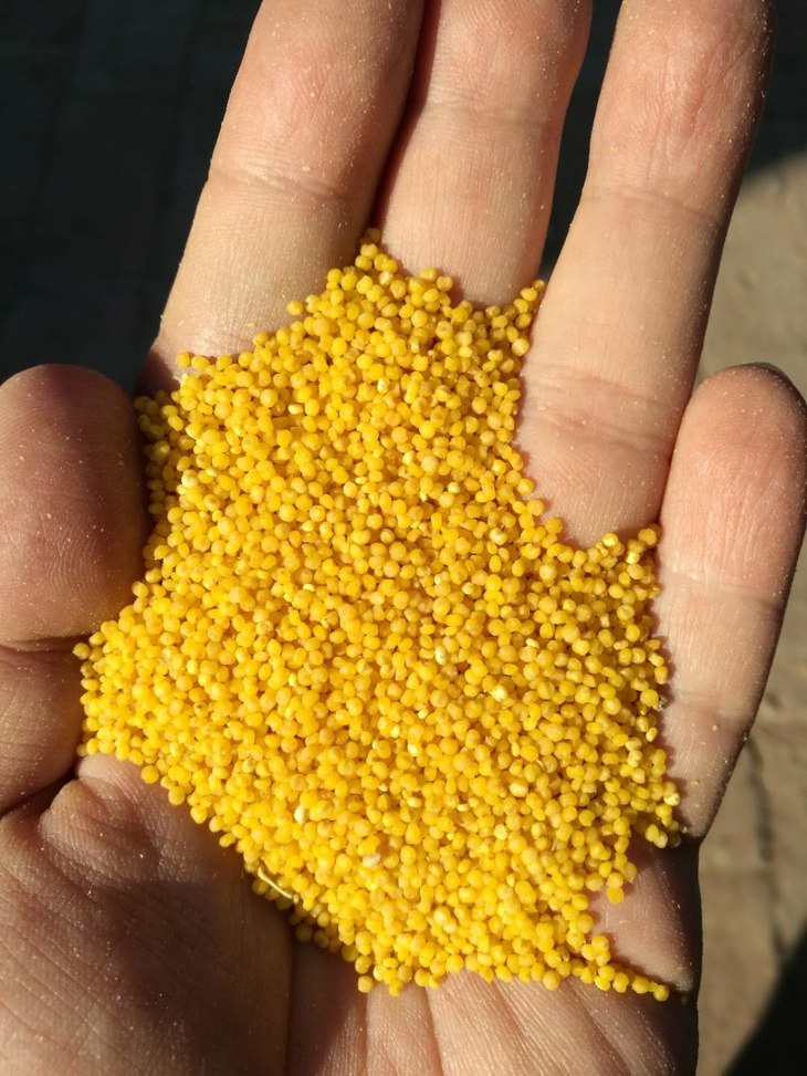 木木家自己种的各种粮食