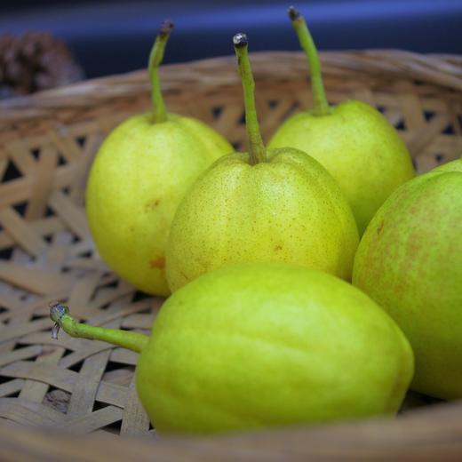 合作生产 | 生态几小香梨 商品图0