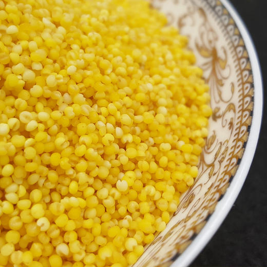 溢田有机小米990g黄小米 商品图2