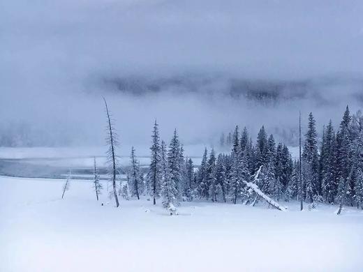 【新疆冬摄12天摄影团 】冰雪喀纳斯、禾木、布尔津、天鹅泉、冲乎尔、赛里木湖、安集海 商品图9