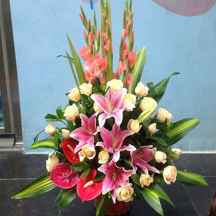 混搭红掌手提花篮送朋友领导老师长辈开业乔迁节日生日祝福探访感恩节