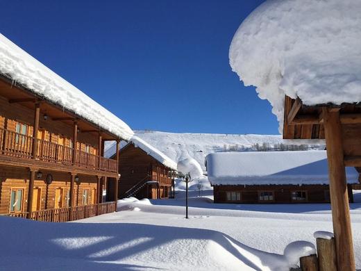 新疆行—冰雪奇缘 ：伊犁天鹅泉、赛里木湖蓝冰、冰雪童话-喀纳斯、禾木7-14天 商品图14