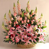 高档定制鲜花混搭红掌手提花篮送朋友领导老师长辈开业乔迁节日生日祝福探访感恩节 商品缩略图0