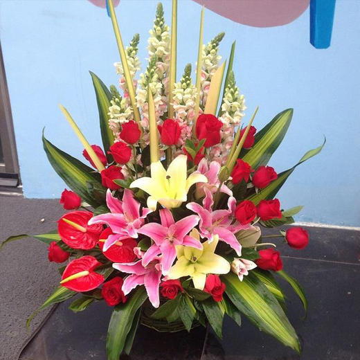 混搭红掌手提花篮送朋友领导老师长辈开业乔迁节日生日祝福探访感恩节