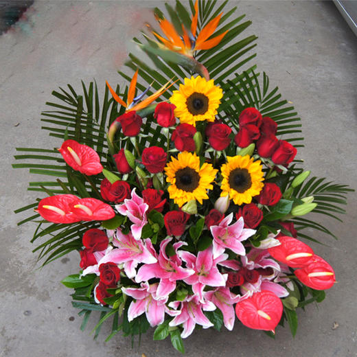 高档定制鲜花混搭红掌手提花篮送朋友领导老师长辈开业乔迁节日生日祝福探访感恩节 商品图13
