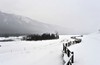 冰雪北疆行——赛湖蓝冰、梦幻天鹅泉、水墨禾木、喀纳斯雪蘑菇、吉木乃萨吾儿民俗、雪地跑马9天摄影采风团 商品缩略图12