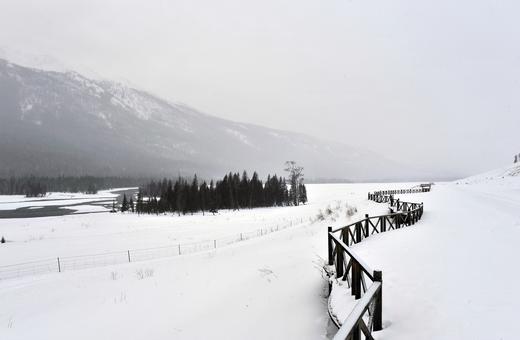 冰雪北疆行——赛湖蓝冰、梦幻天鹅泉、水墨禾木、喀纳斯雪蘑菇、吉木乃萨吾儿民俗、雪地跑马9天摄影采风团 商品图12