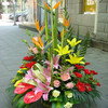 高档定制鲜花混搭红掌手提花篮送朋友领导老师长辈开业乔迁节日生日祝福探访感恩节 商品缩略图4