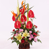 高档定制鲜花混搭红掌手提花篮送朋友领导老师长辈开业乔迁节日生日祝福探访感恩节 商品缩略图9