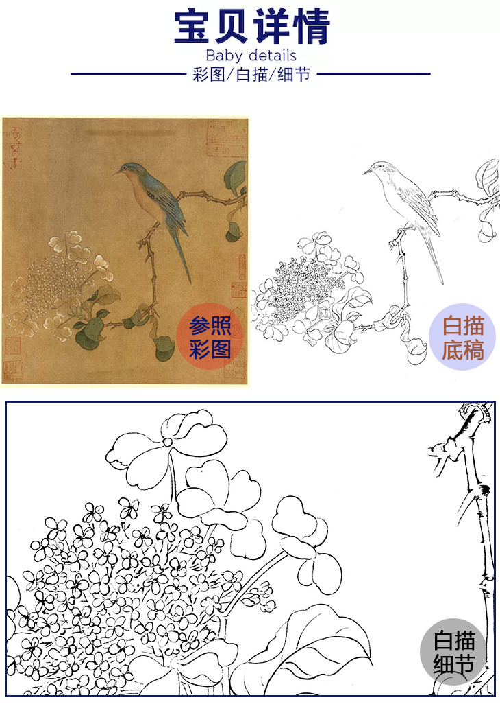 宋画花鸟小品白描底稿-佚名-琼花翠禽图 -gh75
