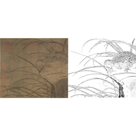 宋画花鸟白描底稿佚名鹌鹑图斗方小品册页gh51