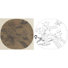 宋画花鸟小品白描底稿-赵佶-《枇杷山鸟图》-多种白描尺寸可选-GH41