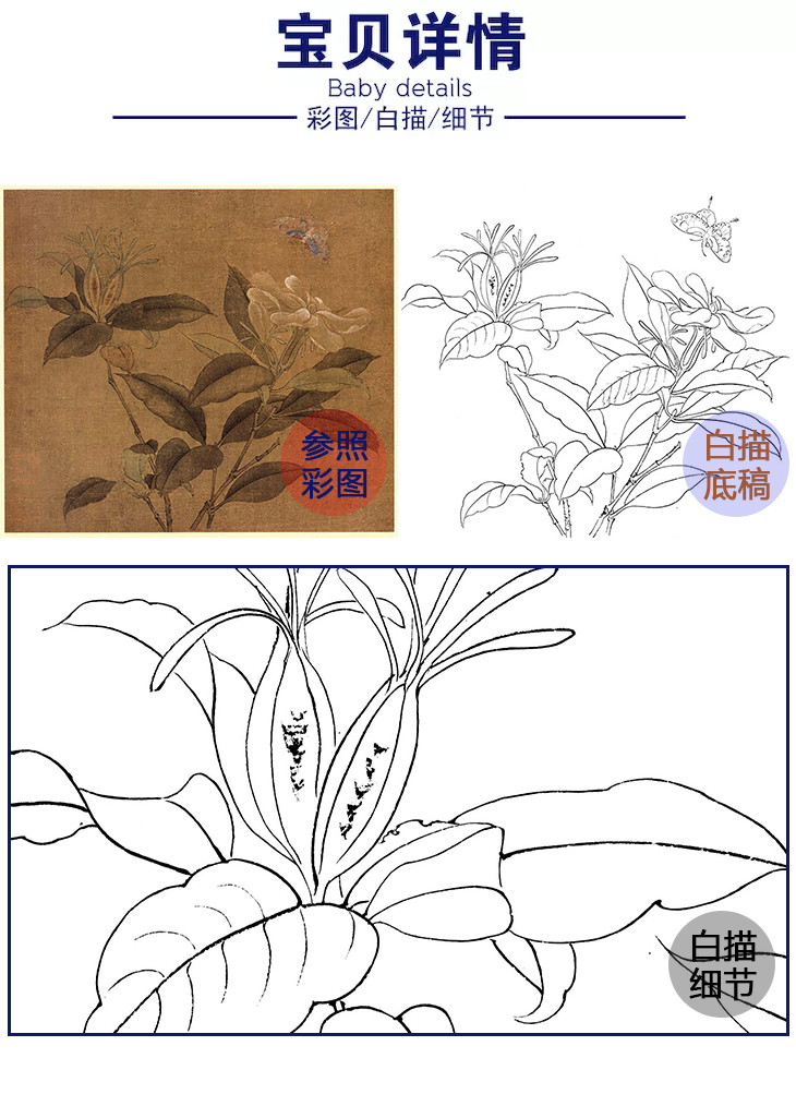 宋画花鸟白描底稿佚名栀子蝴蝶图斗方小品册页gh77