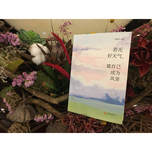 《若无好天气，就自己成为风景》心灵疗愈师蒋婵琴首部疗心散文集，写作十年，精选57篇好文你的不安、困惑和焦虑，在她的文字里都可以得到解答 成为一个无忧无惧的女子，一生优雅从容 商品图4