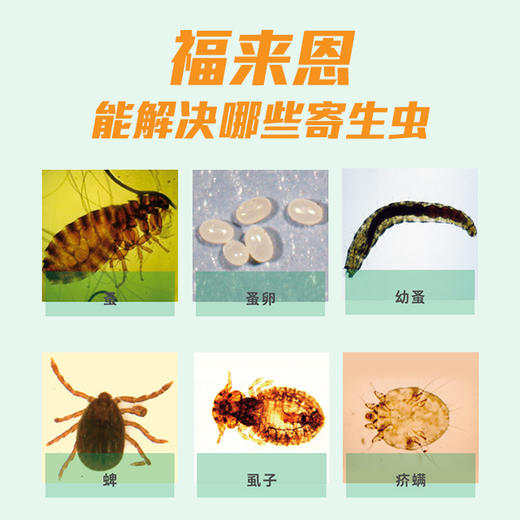 福来恩滴剂整盒3支小中大型犬狗体外驱虫药杀虫剂除跳蚤虱子蜱虫