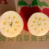 新疆阿克苏冰糖心苹果中果大果新鲜水果脆甜多汁8-9斤装 商品缩略图9