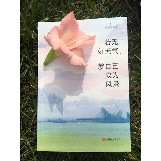 《若无好天气，就自己成为风景》心灵疗愈师蒋婵琴首部疗心散文集，写作十年，精选57篇好文你的不安、困惑和焦虑，在她的文字里都可以得到解答 成为一个无忧无惧的女子，一生优雅从容 商品图2