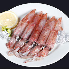 【大鲜鱿鱼】妈鲜乐精选鱿鱼，新鲜不泡水，炒后不出水，鱿鱼味十足，好评率100%！