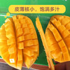 越南甜心芒果生吃熟吃都甜生吃微甜熟吃特别甜5斤/8斤 商品缩略图8