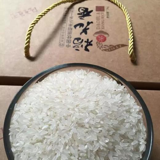 五常稻花香大米 商品图5