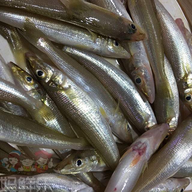 【粗鳞沙尖鱼】纯野生 ，富含叶酸等多种营养，常吃沙尖鱼可防止血栓，对心脏病有益处。