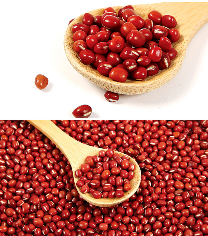 红豆红小豆五谷杂粮非赤小豆赤豆农家自产新小红豆子东北粗粮500g