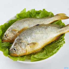 【黄花鱼】 鲜活纯正海鱼杀好急冻，鱼肉鲜甜细腻 杀好急冻锁住营养。