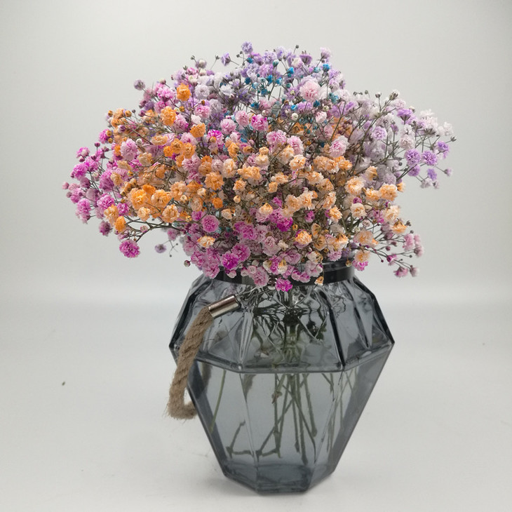 进口混色满天星干花单品购