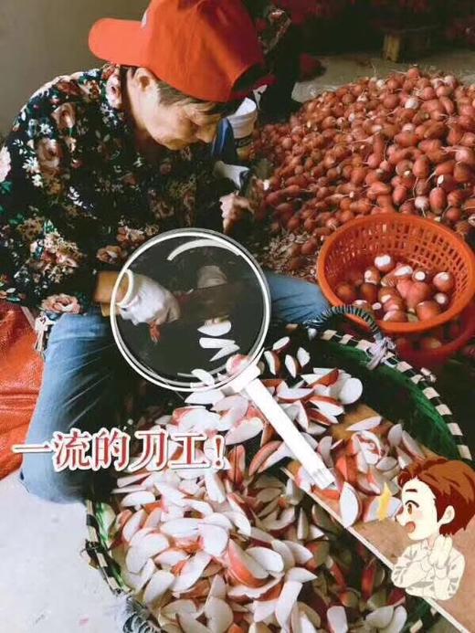 常州卜源萝卜干（微辣） 商品图8