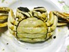 顶级花雕熟醉蟹8只，江浙沪包邮 商品缩略图6