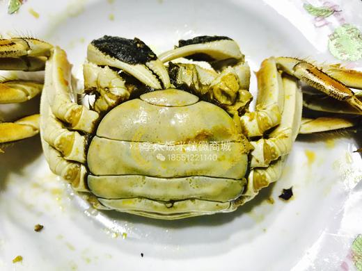 顶级花雕熟醉蟹8只，江浙沪包邮 商品图6