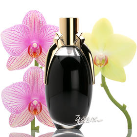 Lady Gaga Fame 荣耀黑色甜美女士香水  小样/正装