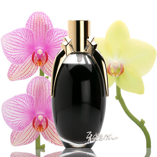 Lady Gaga Fame 荣耀黑色甜美女士香水  小样/正装 商品图0