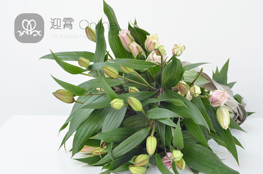 牡丹百合粉liliumorientalroselilynatalia10枝扎顺丰到付