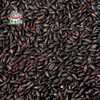 素食猫 五谷杂粮 黑珍珠黑米 400g*4 商品缩略图2