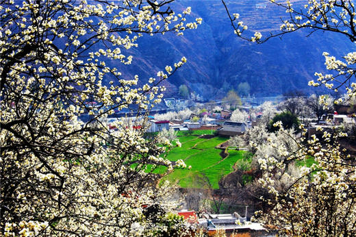 3月18日【金川B线】丹巴梨花•嘉阳小火车•牛背山云海日出9天摄影团 商品图4