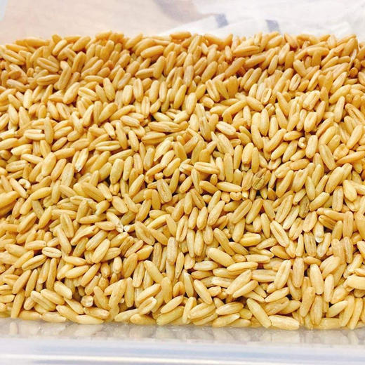 燕麦米 500g 商品图0