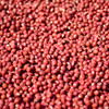 香畴红豆 自然农法种植红小豆 500g/袋 商品缩略图6